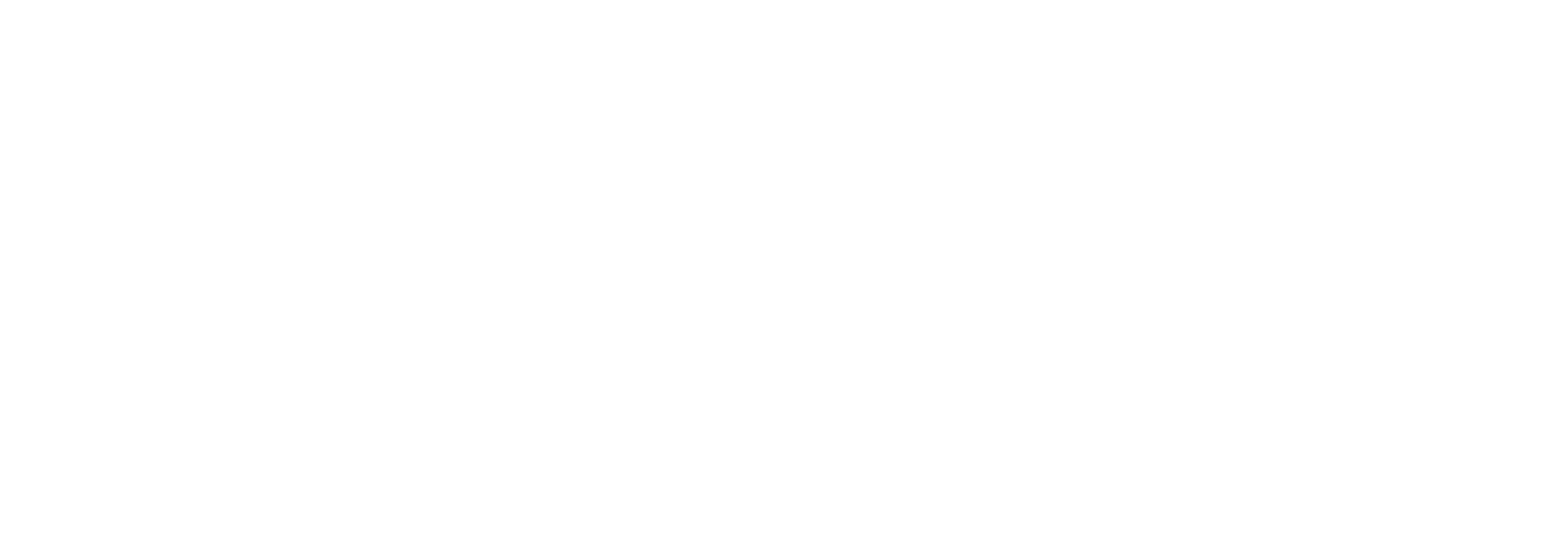 Logo Asa Horizontal Whte@4x